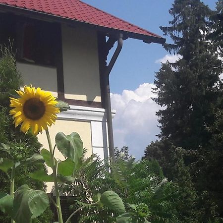 Penzion Pod Orechom Turčianske Teplice Exteriér fotografie