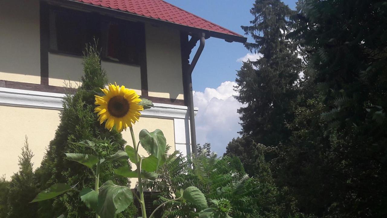Penzion Pod Orechom Turčianske Teplice Exteriér fotografie