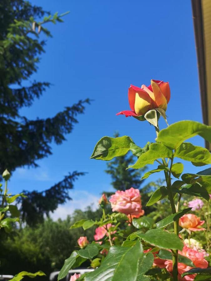 Penzion Pod Orechom Turčianske Teplice Exteriér fotografie